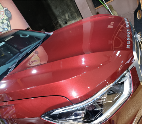 Ceramic Coating services